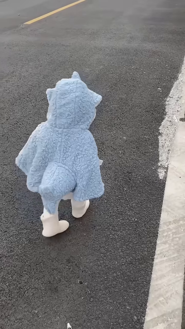 Fluffy Animal-Themed Kids' Costumes 🐰🦈🦕 – Bunny, Shark & Dino Variants - Image 4